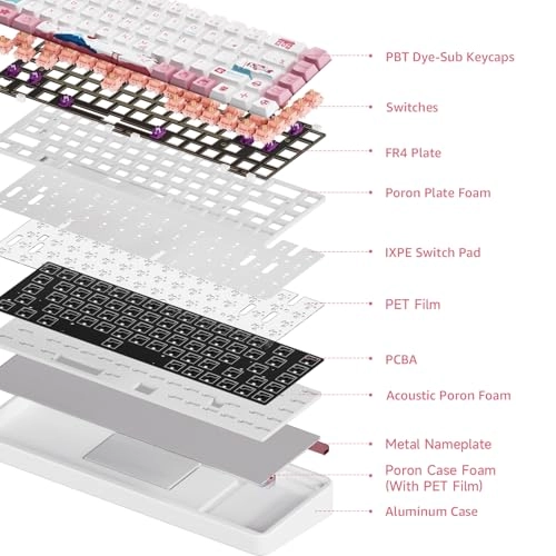 JIN01 - Wired/Wireless
