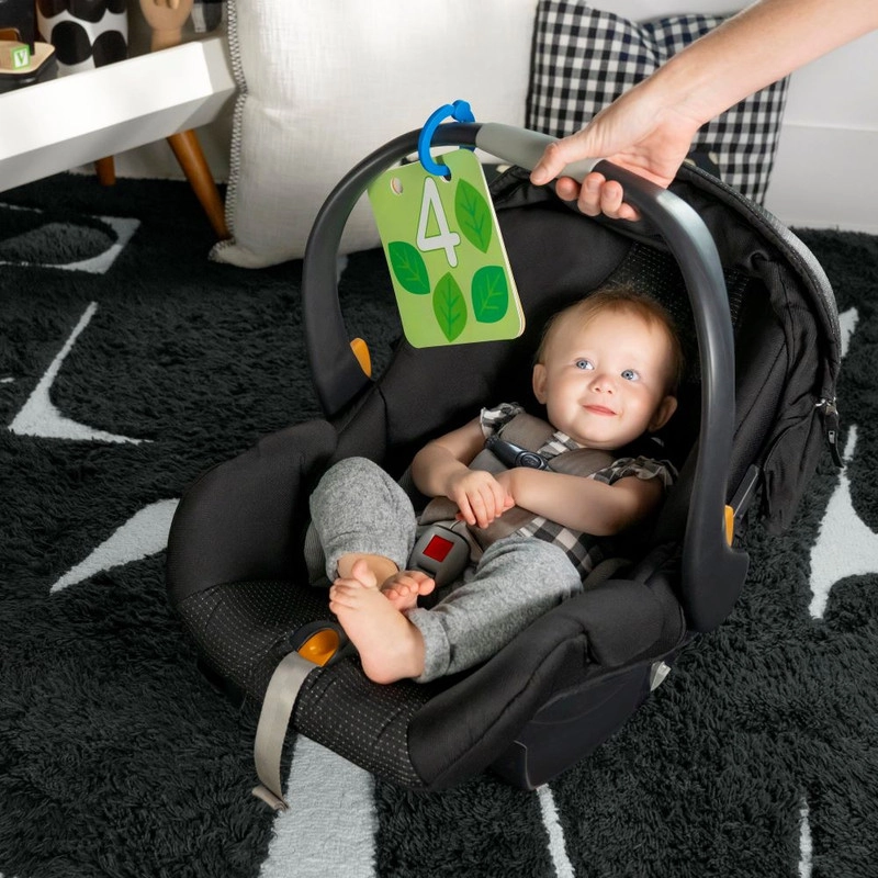 4-in-1 Kickin’ Tunes Musical Meadow Music & Language Discovery Gym - 0 months