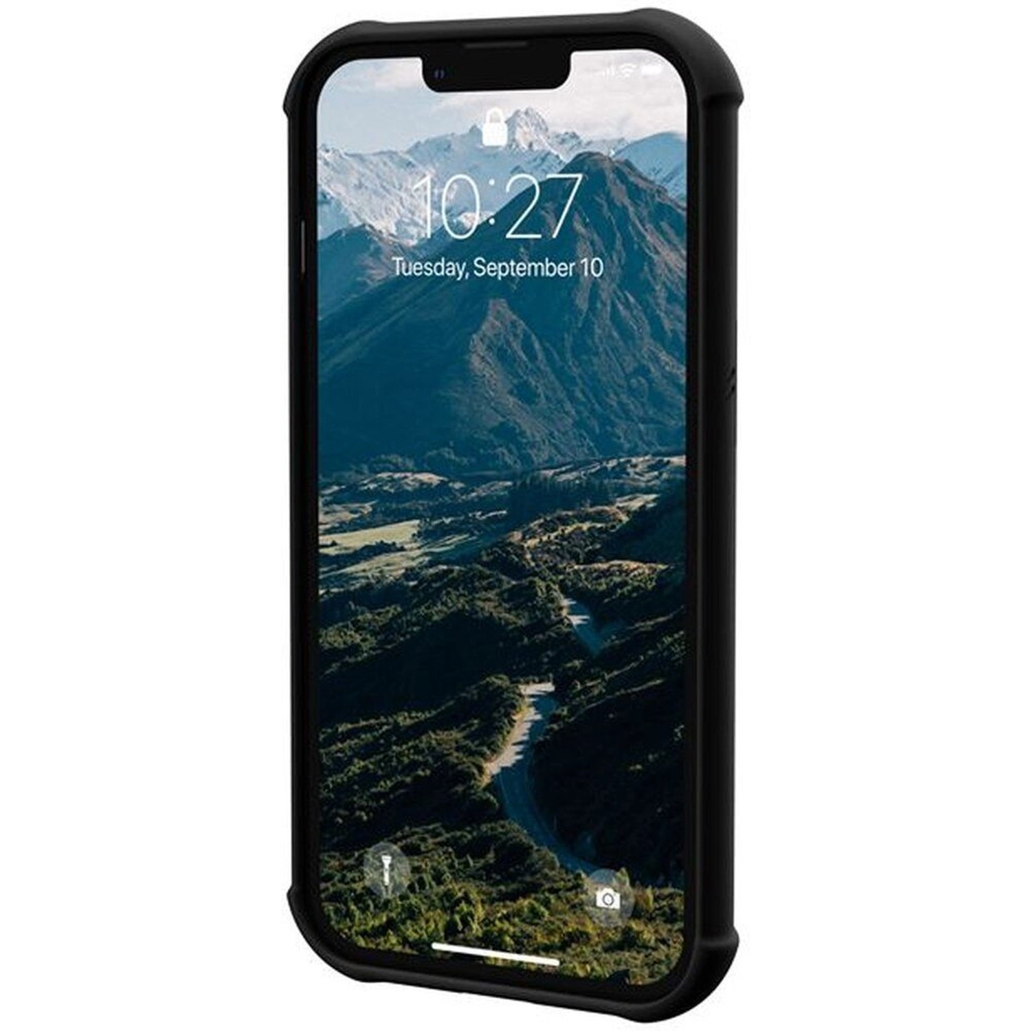 Coconut Monarch Back Case for iPhone 13 Pro