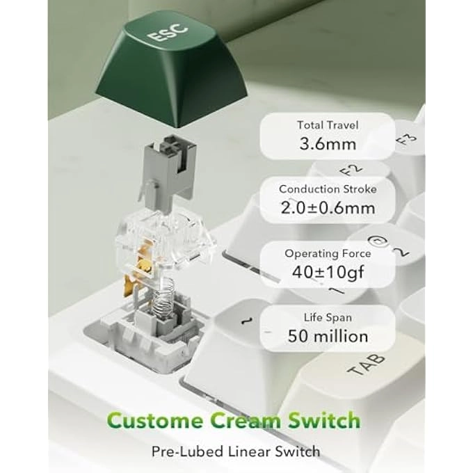 K734W - TKL Wired/Wireless