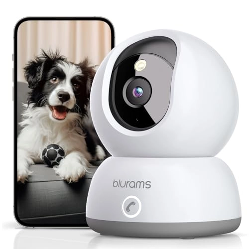 Security Camera 2K