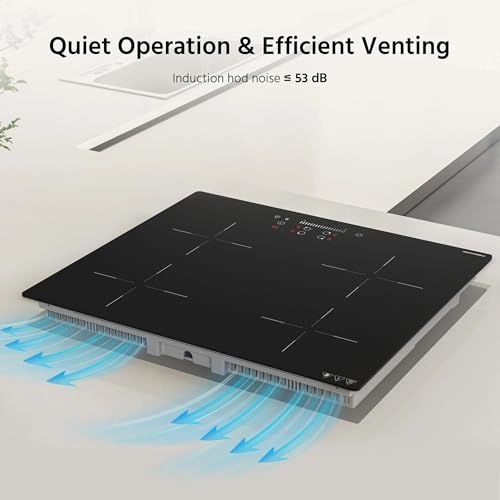 FGS-74IB4S5H2-CSCS Induction hob