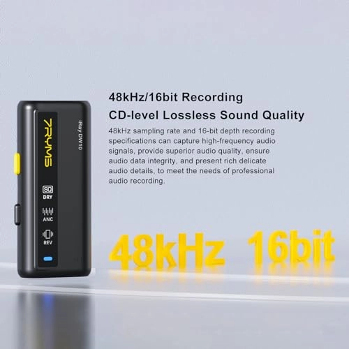 iRay DW10 - 1 Receiver 1 Microphone