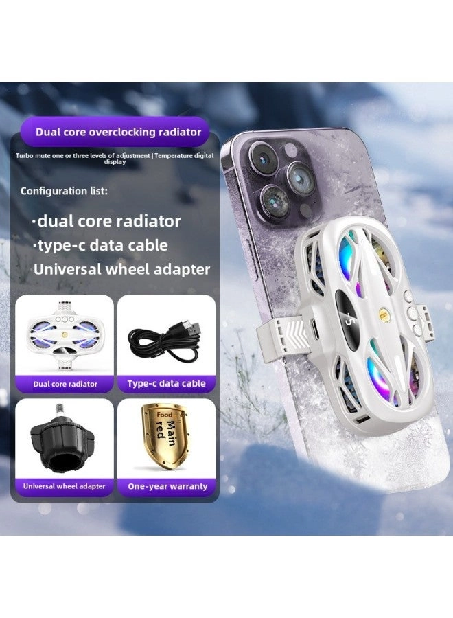 Loquat Portable Phone Cooler