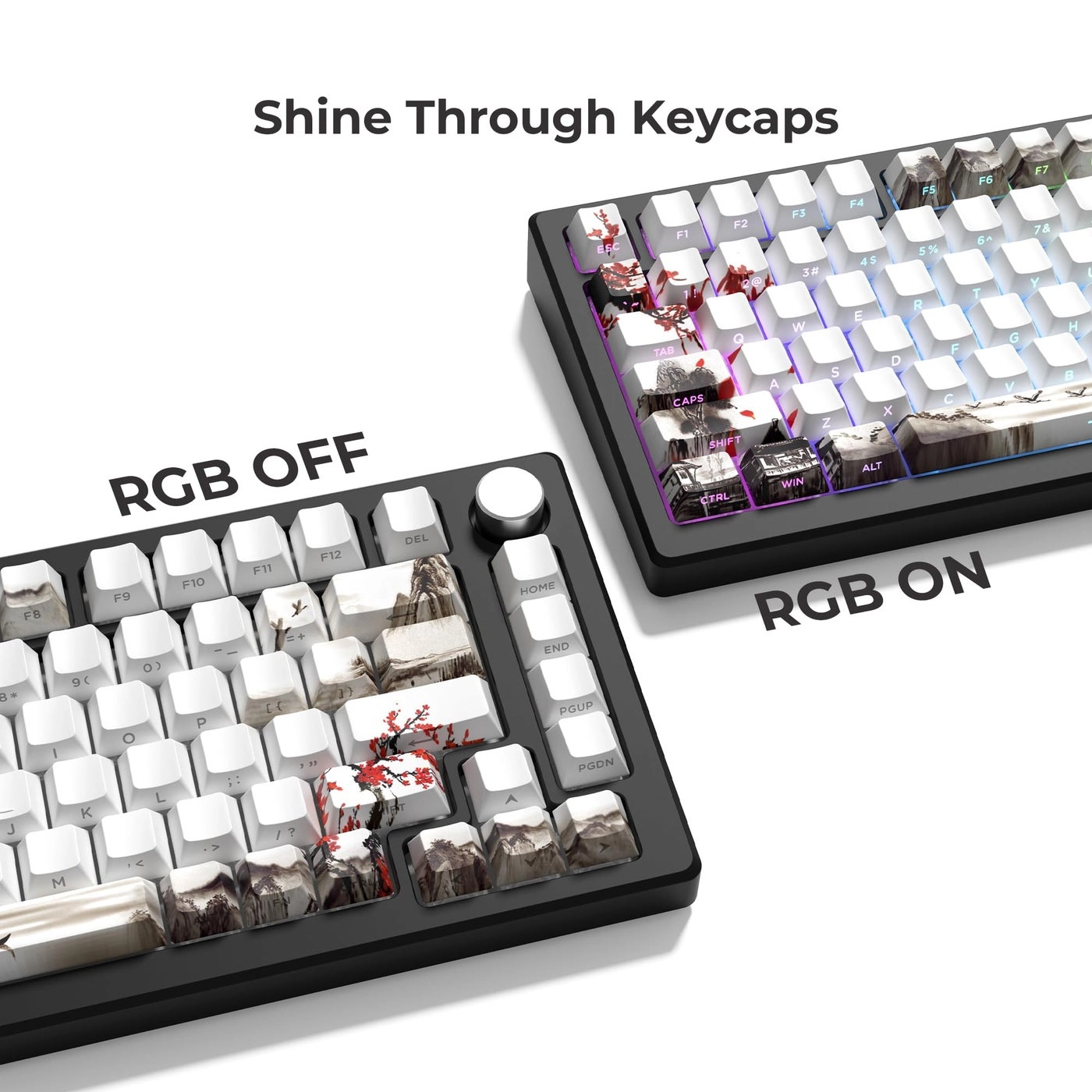 XVX Shine Through Keycaps - Side Print PBT 131 Keys
