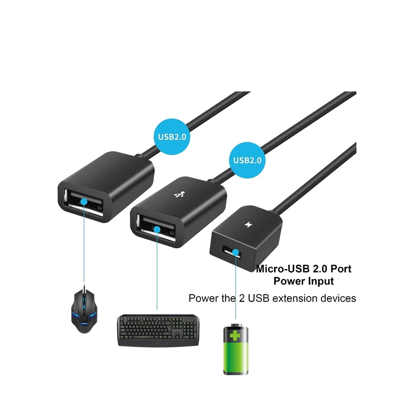USB C to Dual USB OTG Adapter