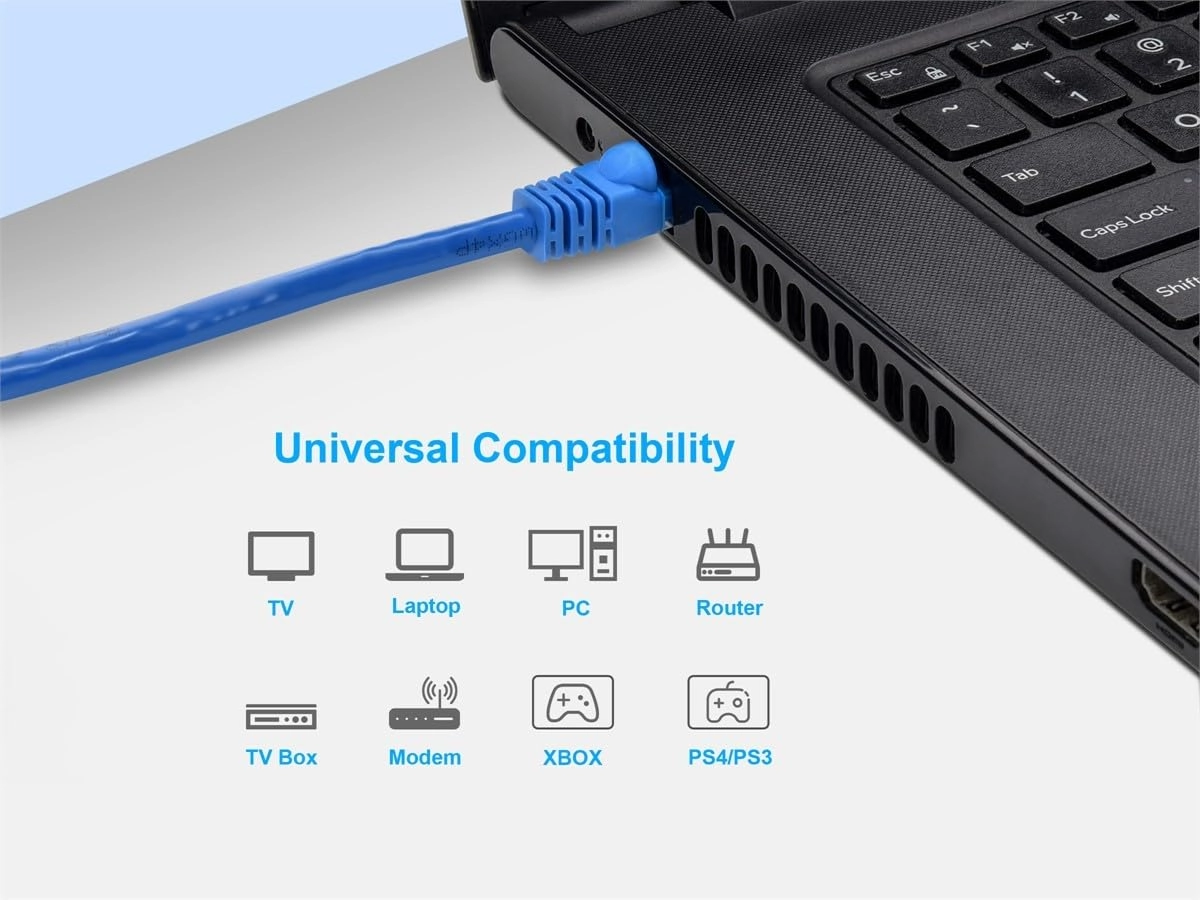 Cat6 UTP Ethernet Cable - 30FT