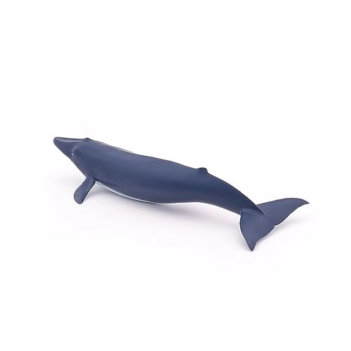 Marine Life - Blue Whale calf (56041)