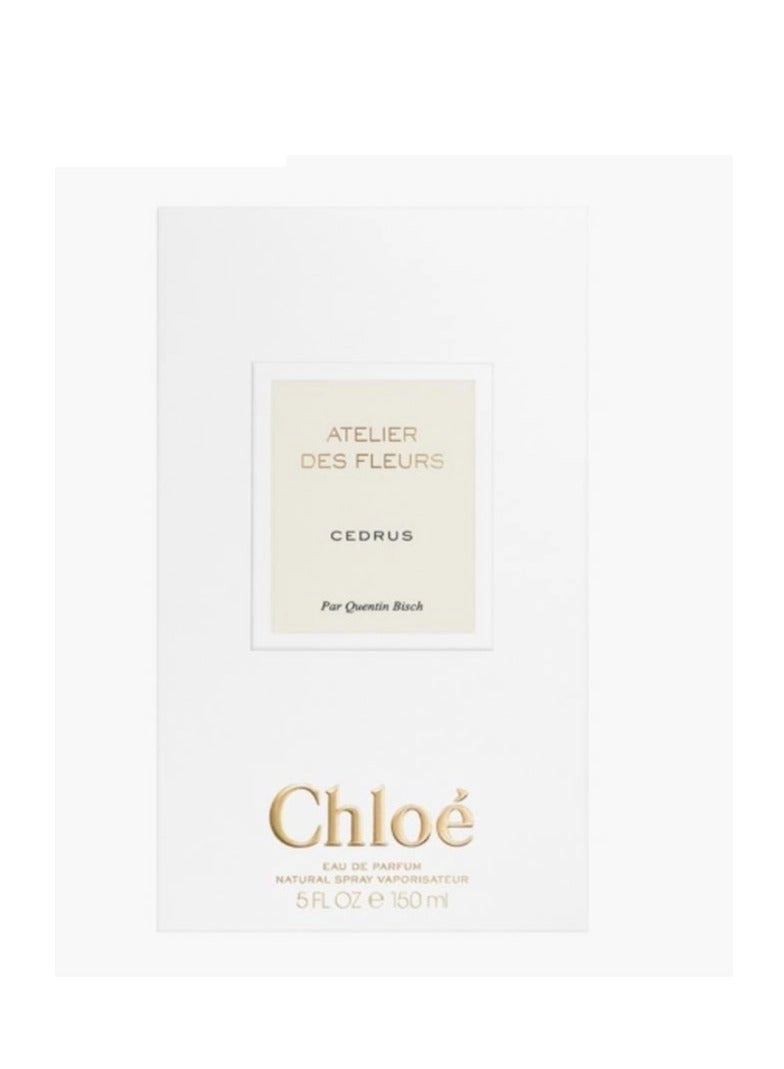 Cedrus - Eau de Parfum 150 ml