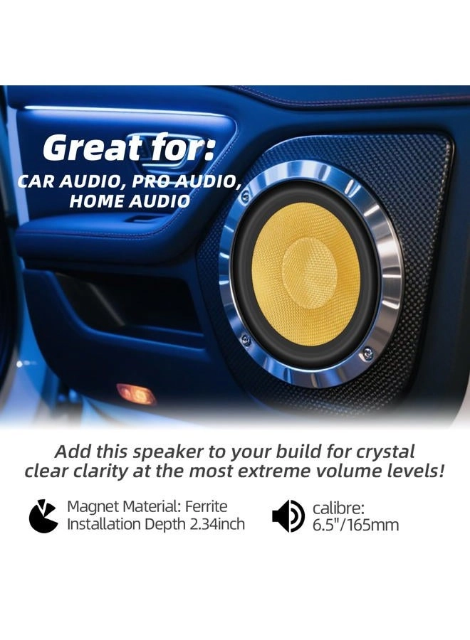 ZDY-6502B - 6.5 Inch Coaxial