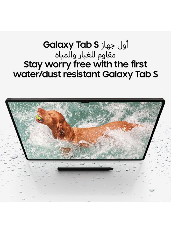Galaxy Tab S9 - 256GB 11"