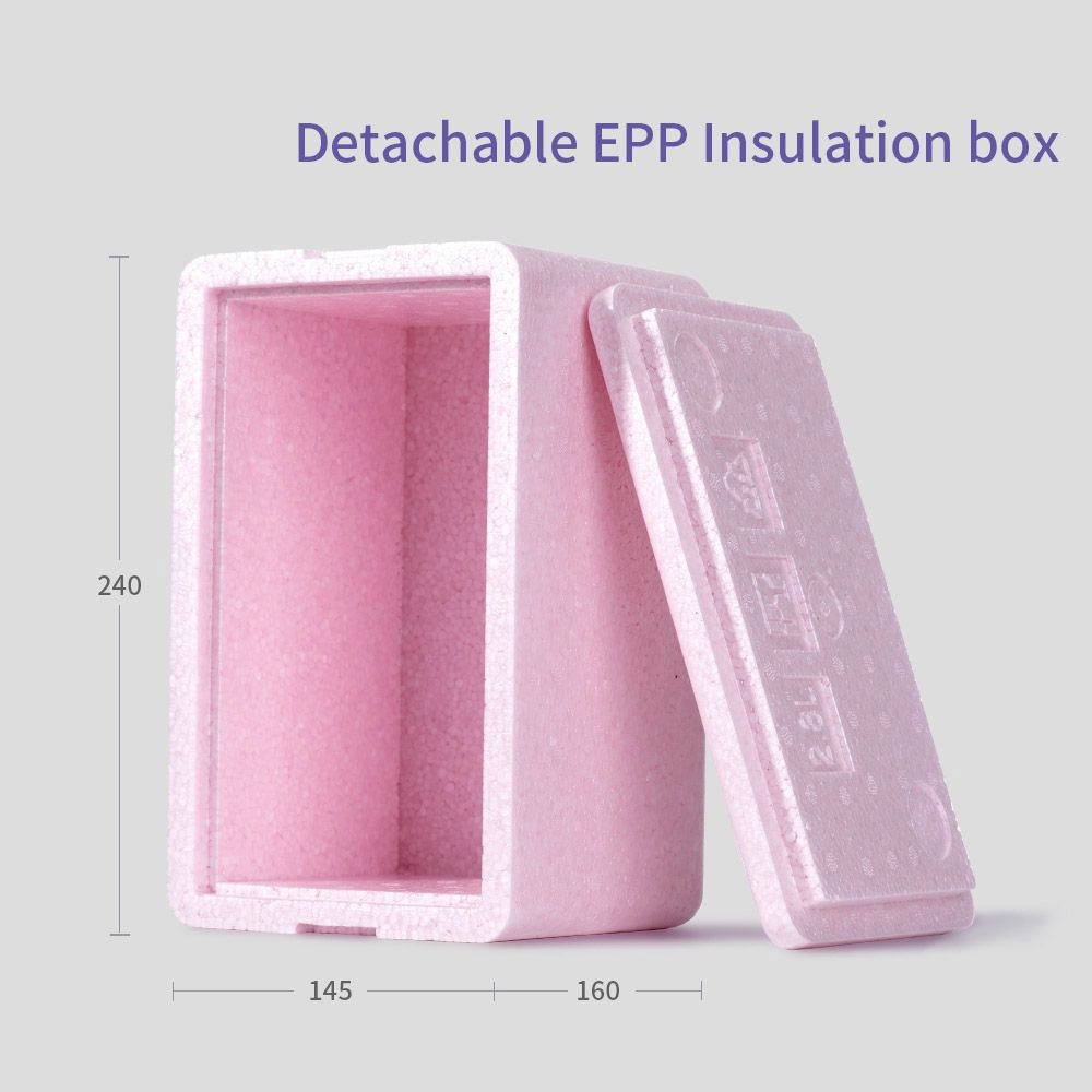 Insulated Lunch Bag With Thermo Box