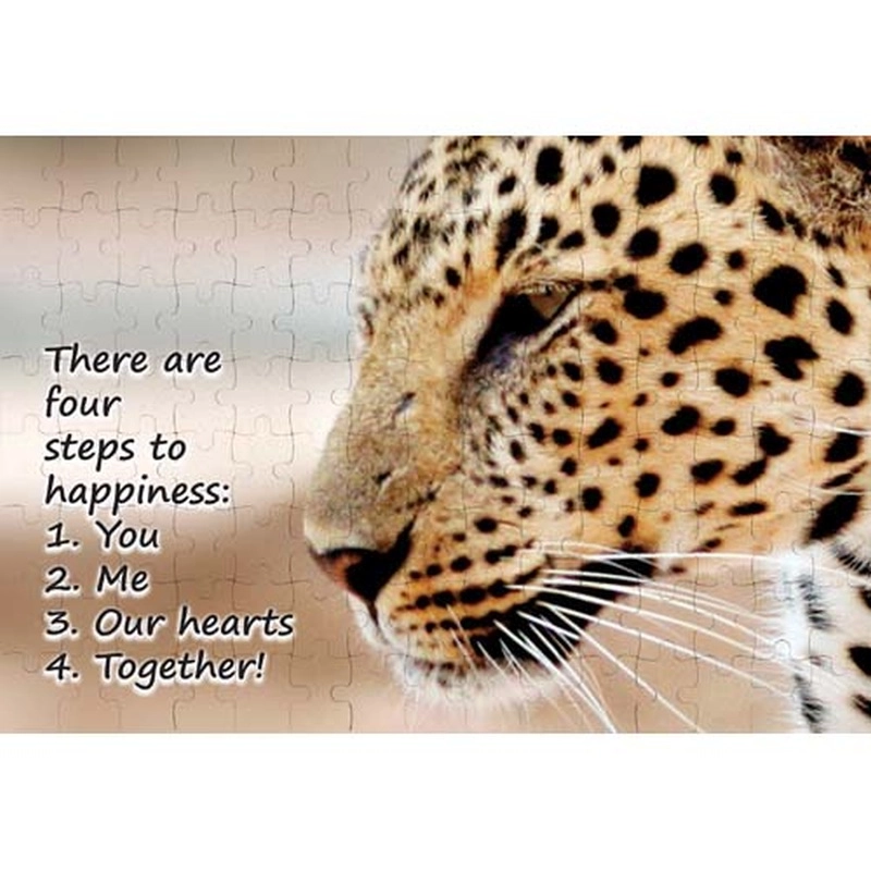 Ajooba Dubai Love Puzzle (2229)