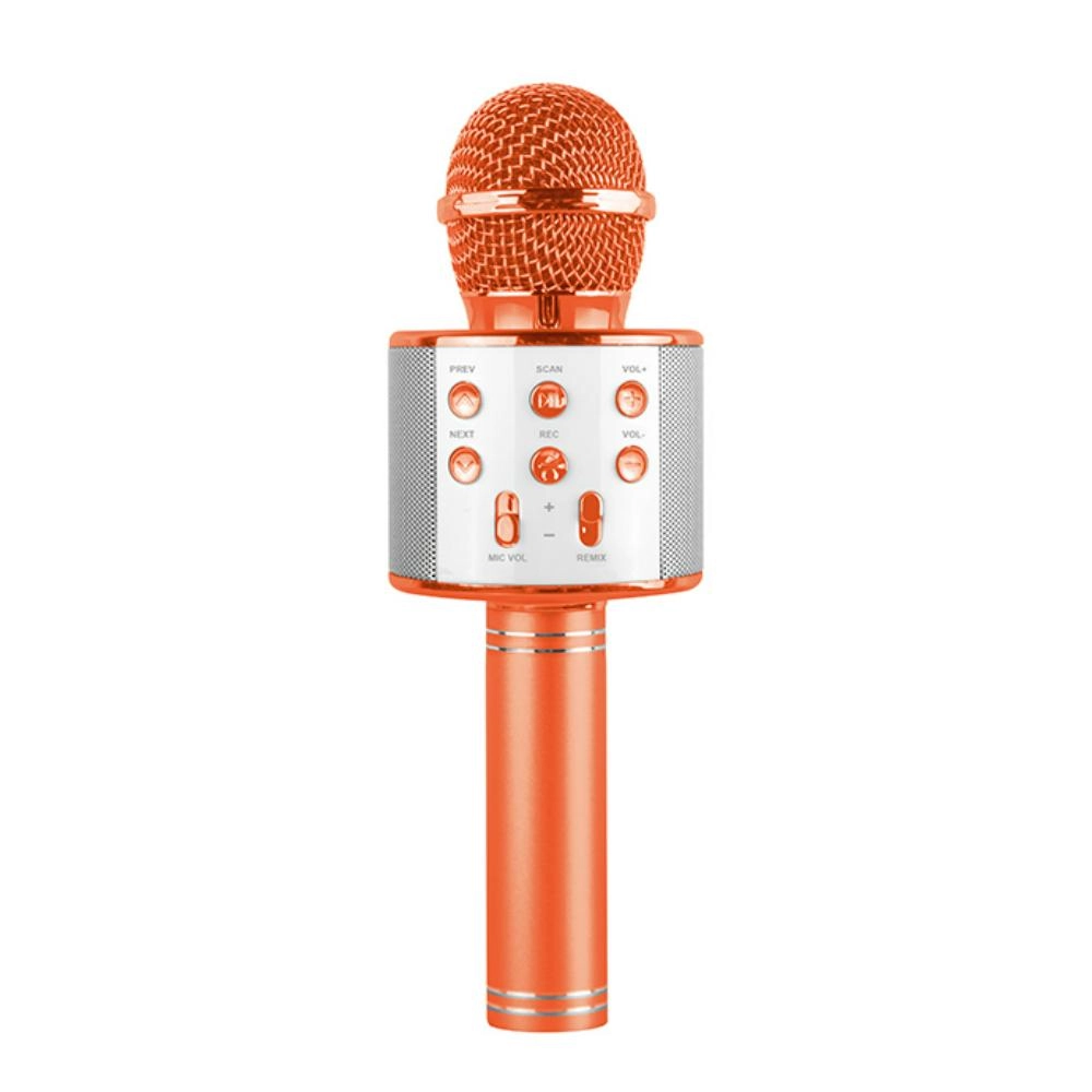 Karaoke Microphone - Suitable for 3 years and above