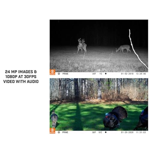Prime Trail Camera - 24 megapixel