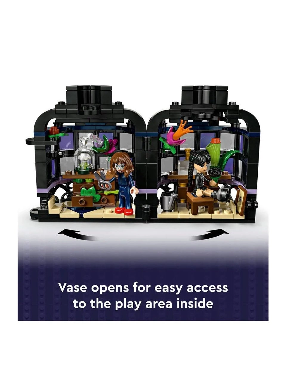 Wednesday Black Dahlia Flower