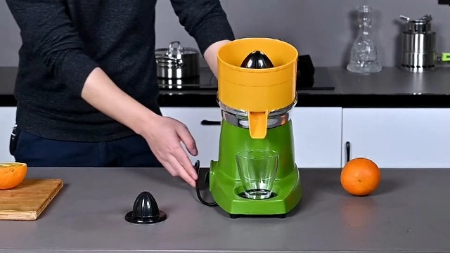 Citrus Juicer - 250 watts