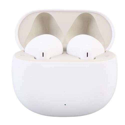 Language Translator Earbuds