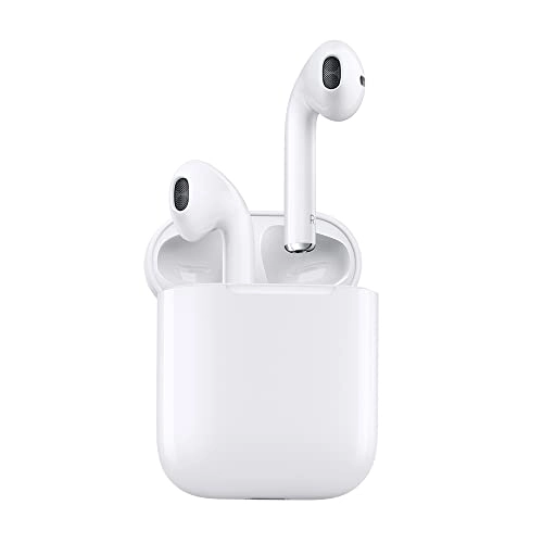 INDUTWSU10P Wireless Earbud