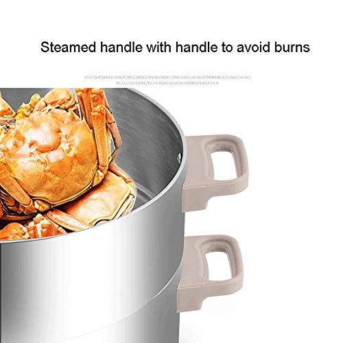 Food Steamer - 10 Liters