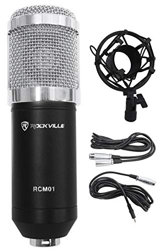 RCM01 + DMS40 XLR Microphone