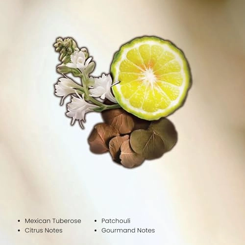 The Beautiful Ones Eau de Parfum 100 ml Collection