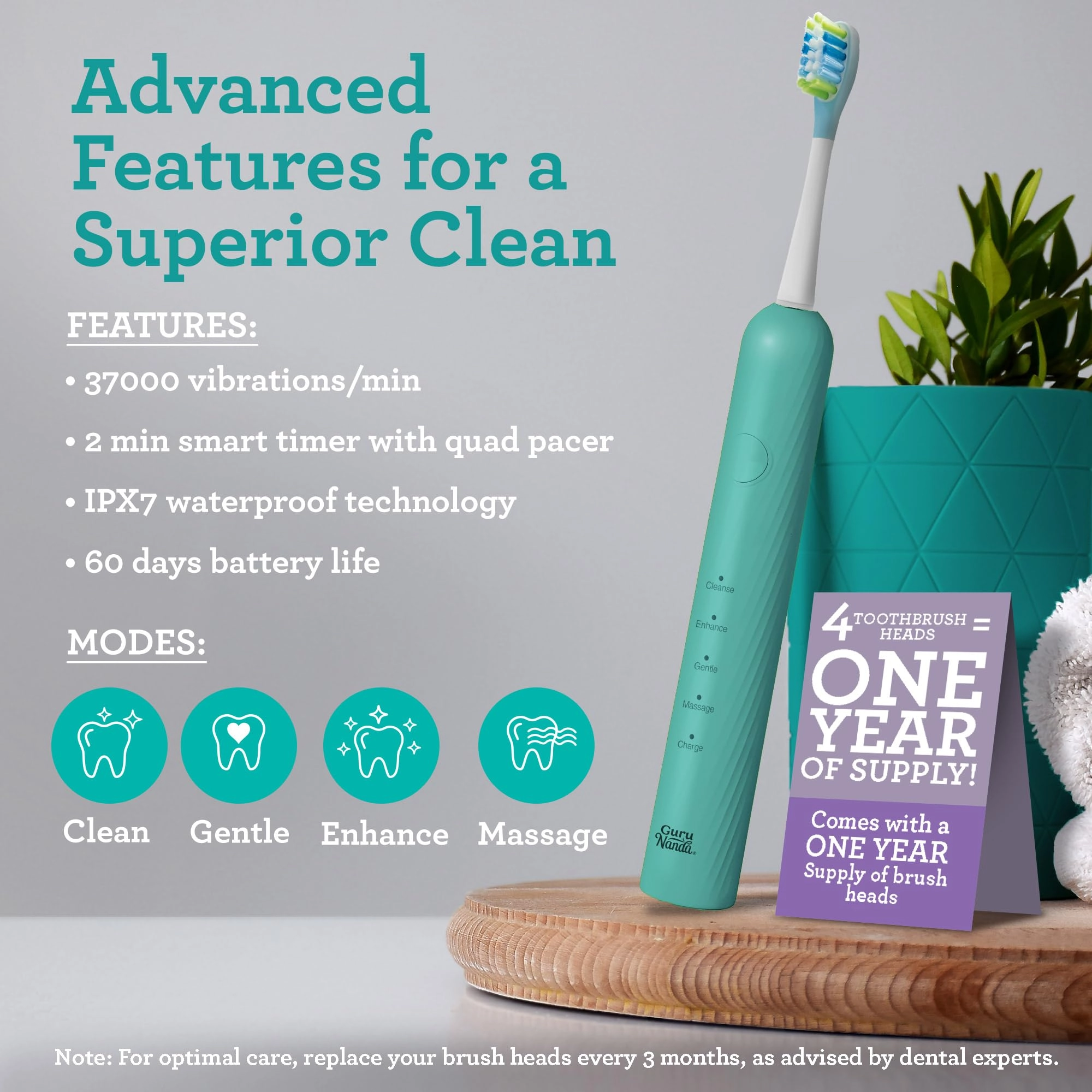 Lion & Lamb Kit 2.0 - 4 Brush Heads Lavender + Water Flosser - 4 Jet Tips IPX7 Waterproof