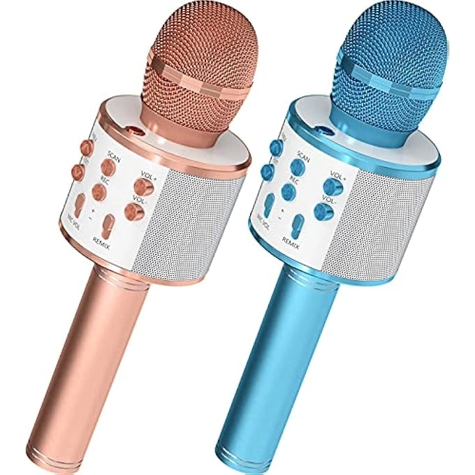 rayihni Karaoke Microphone Pack
