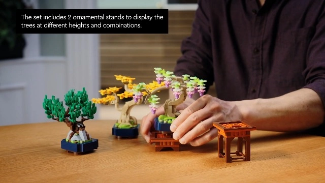 Botanicals Mini Bonsai Trees (10373)