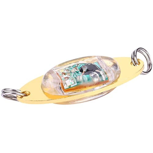 Fishing Lure Light
