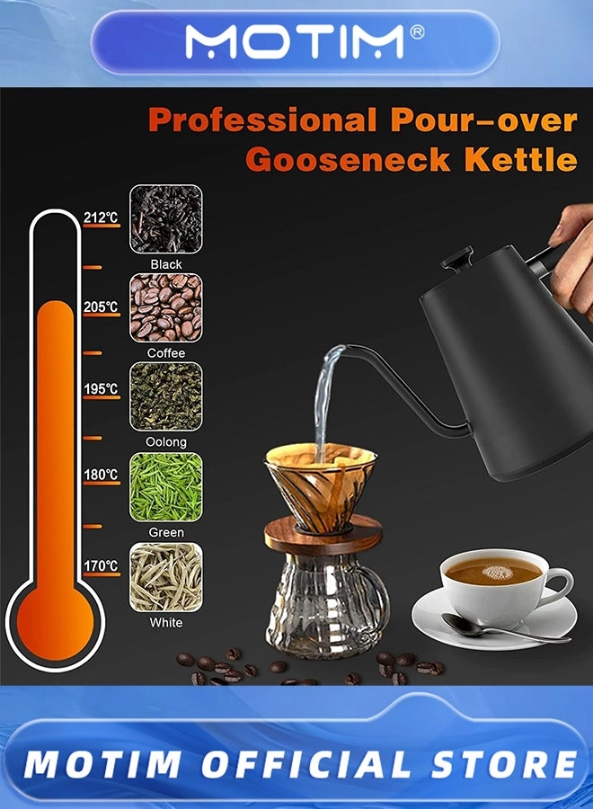 Temperature Control Electric Kettle