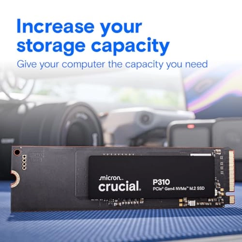 P310 - 500GB M.2 2280