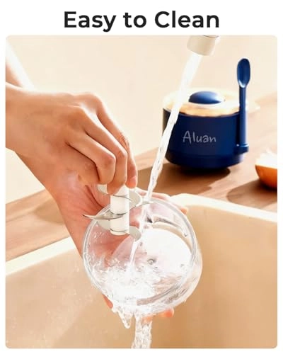 Mini Electric Chopper - 250ML USB Rechargeable