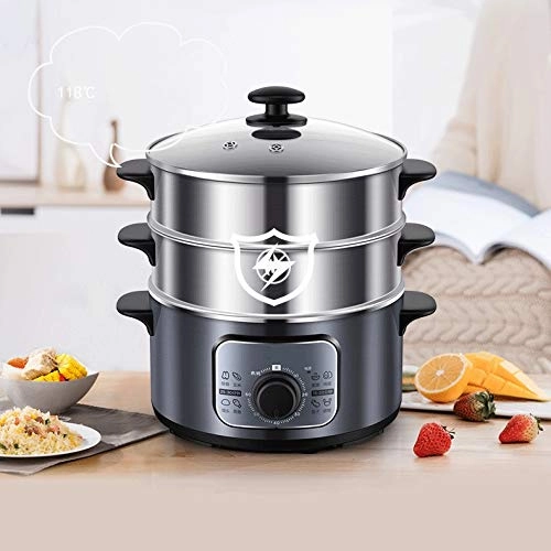 Electric Steamer - 3