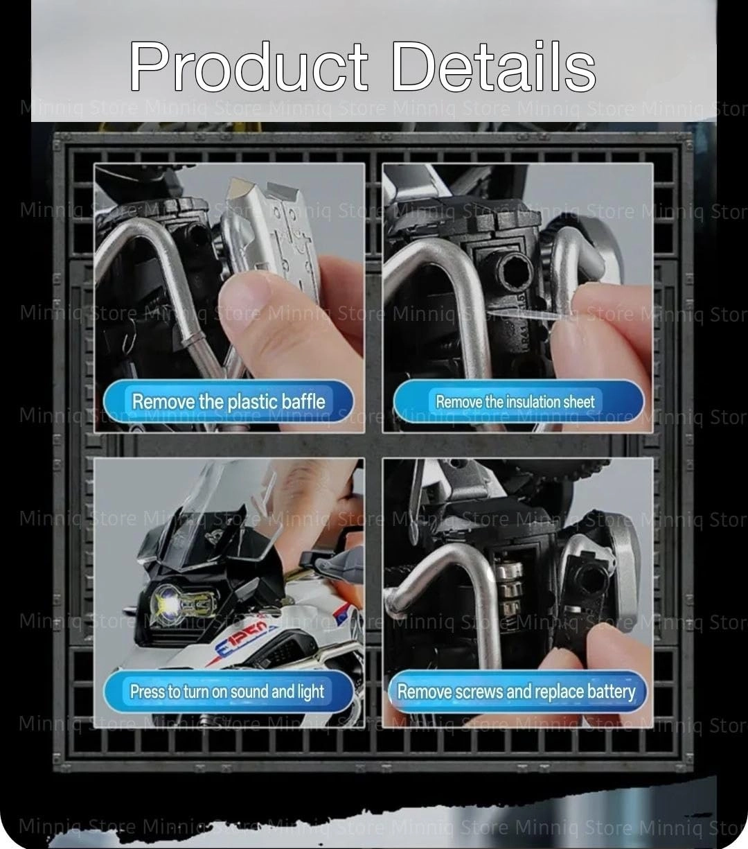R1250GS - 1:12 1
