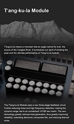 A70 Pro - Fully Balanced Relay Volume Control 17000mW*2