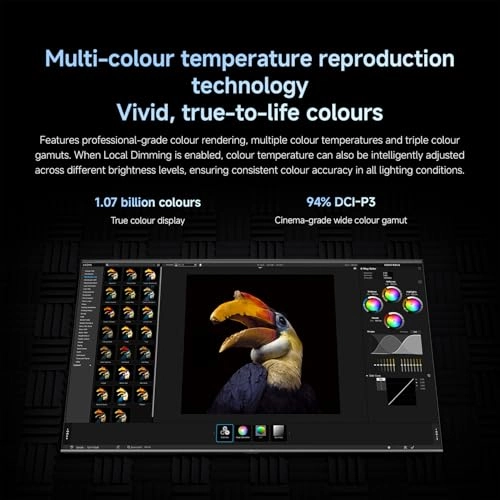 S Mini LED - 55 inch