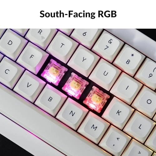 Q2 Max - Wired/Wireless