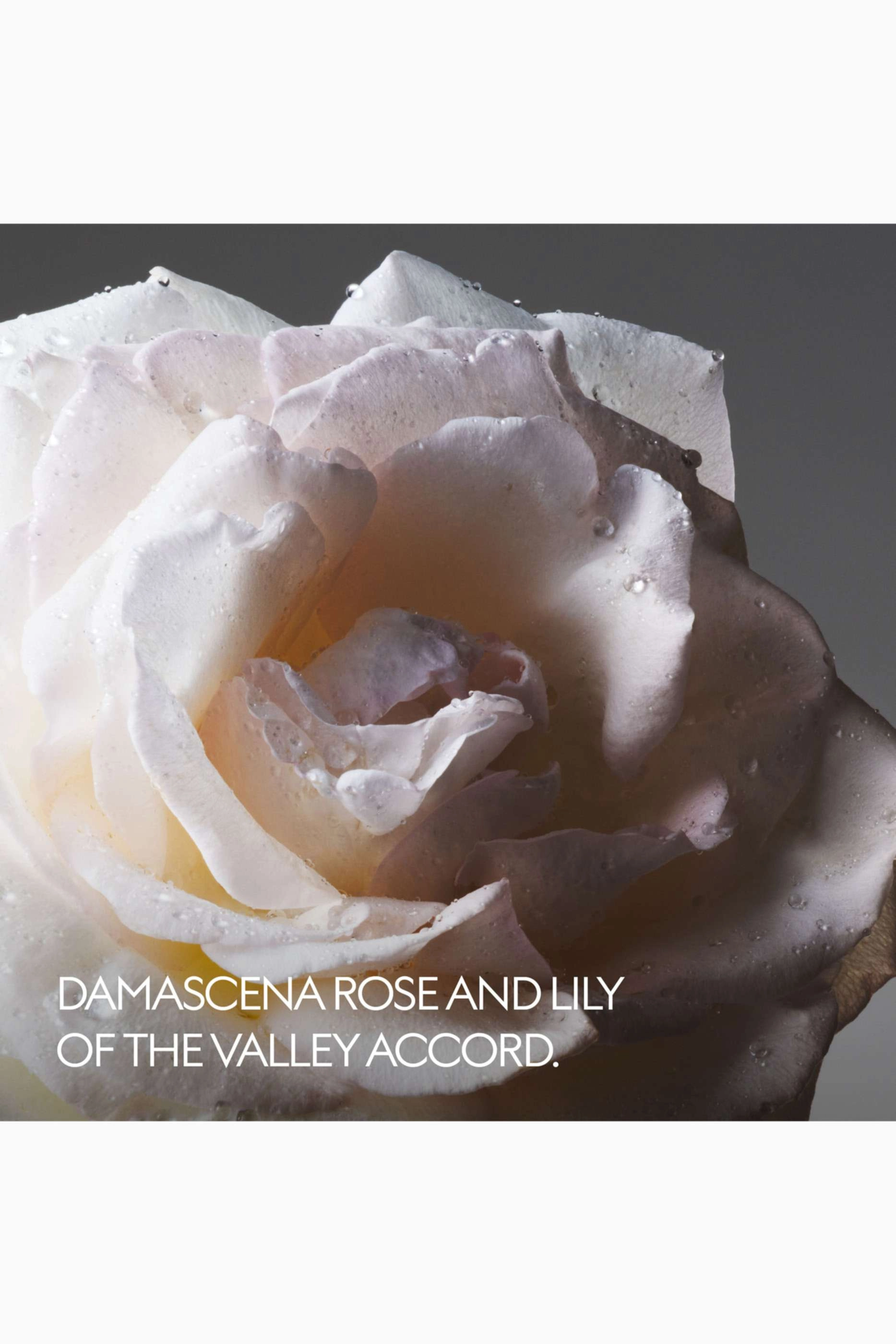 Tears from the Moon Eau de Parfum 50ml