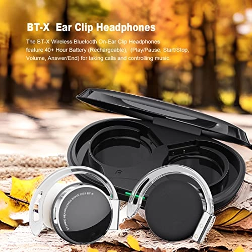 BT-X Wireless Headphone