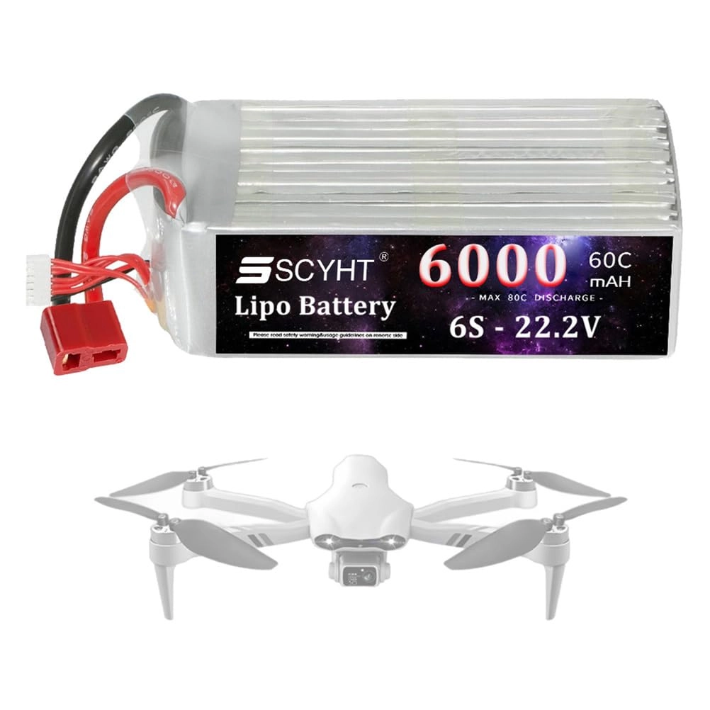 Lipo Battery - 6000mAh