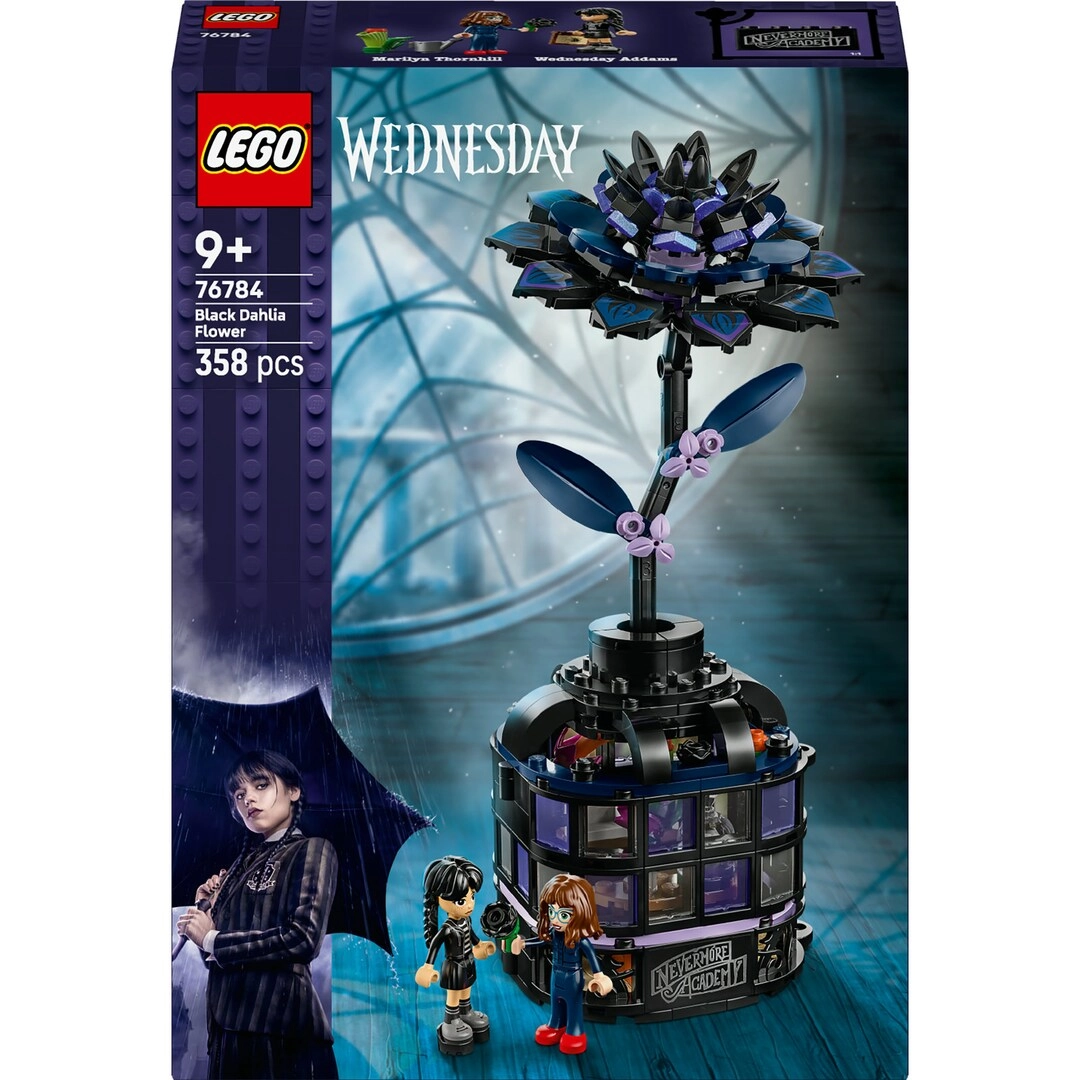 Wednesday Black Dahlia Flower (76784)