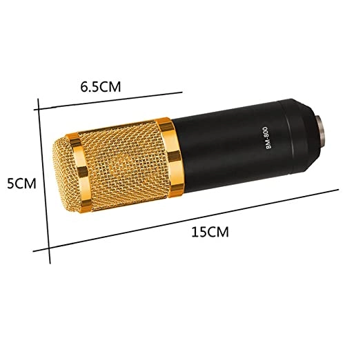 SK-30 USB Microphone