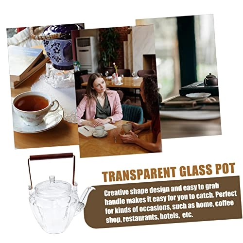 Gooseneck Tea Pot - borosilicate glass 800 ml