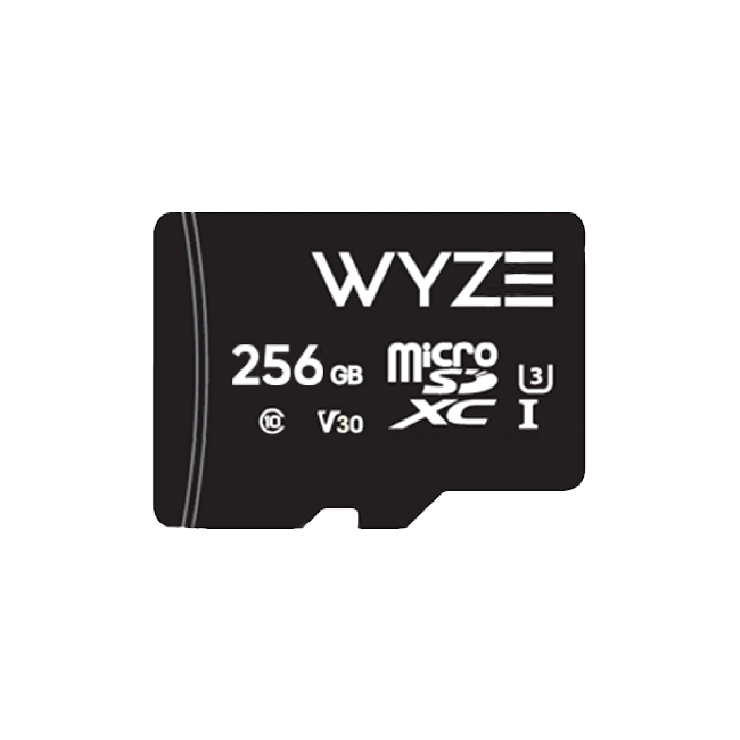 Micro SDXC Card - 256GB