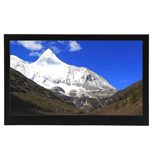 Capacitive Touch Monitor - 1920x1080 13.3in