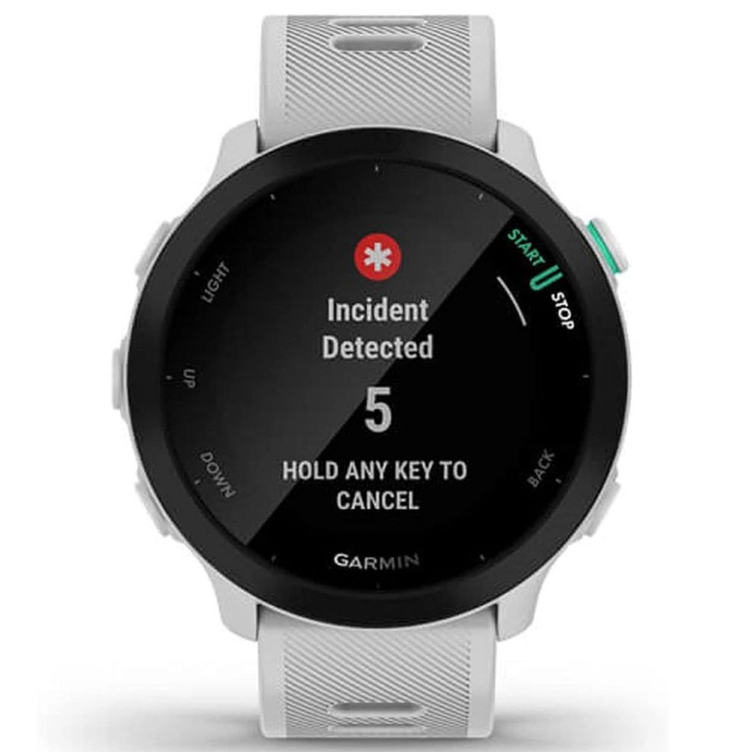 Forerunner 55 42mm Glass GPS