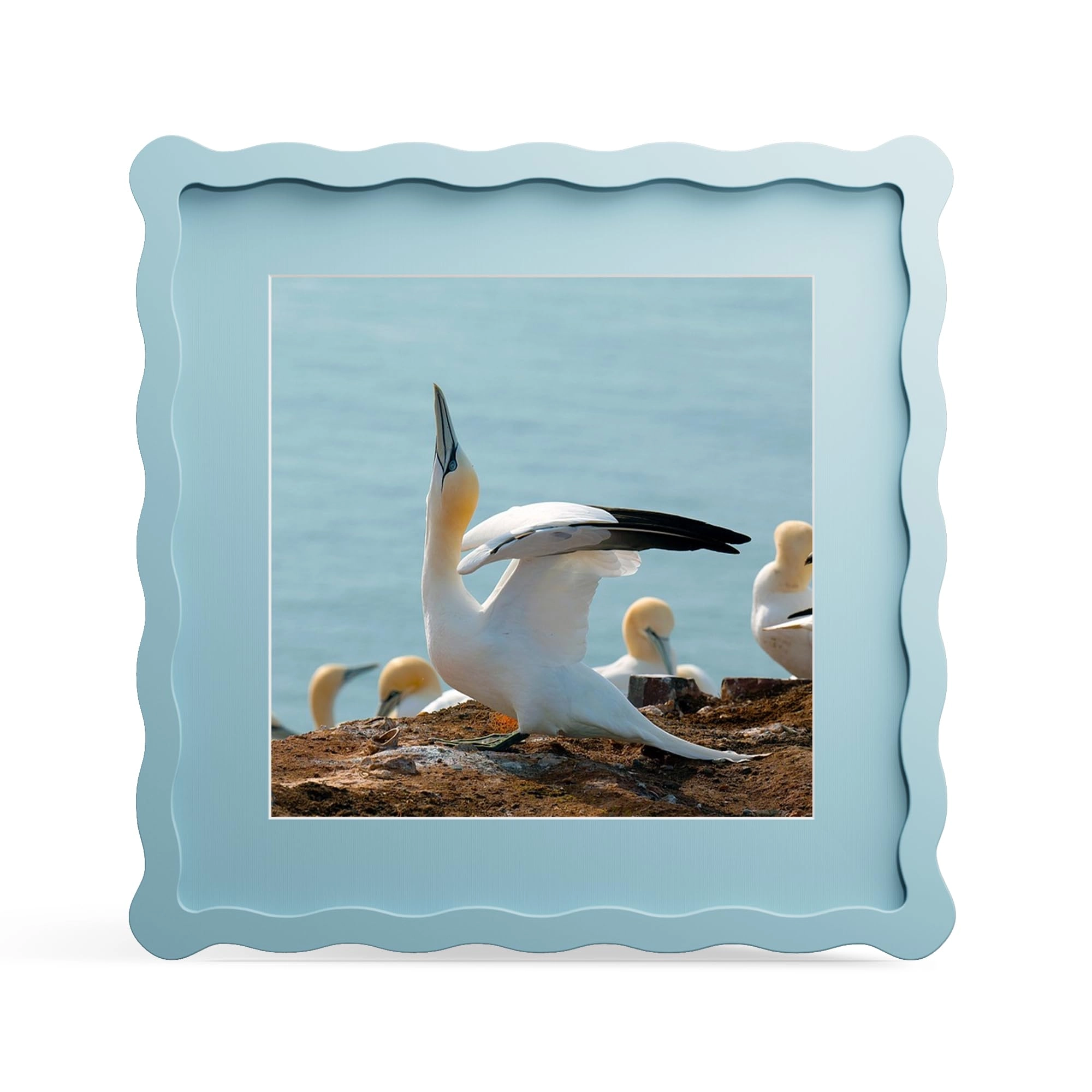 thkrlof 10x10 Picture Frame - 8x8