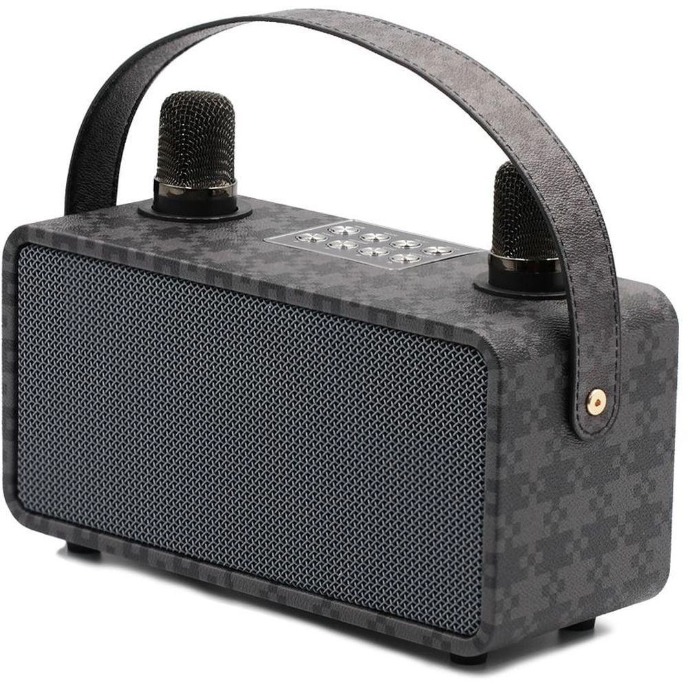 PulZ Mini Karaoke System - 2 Microphones