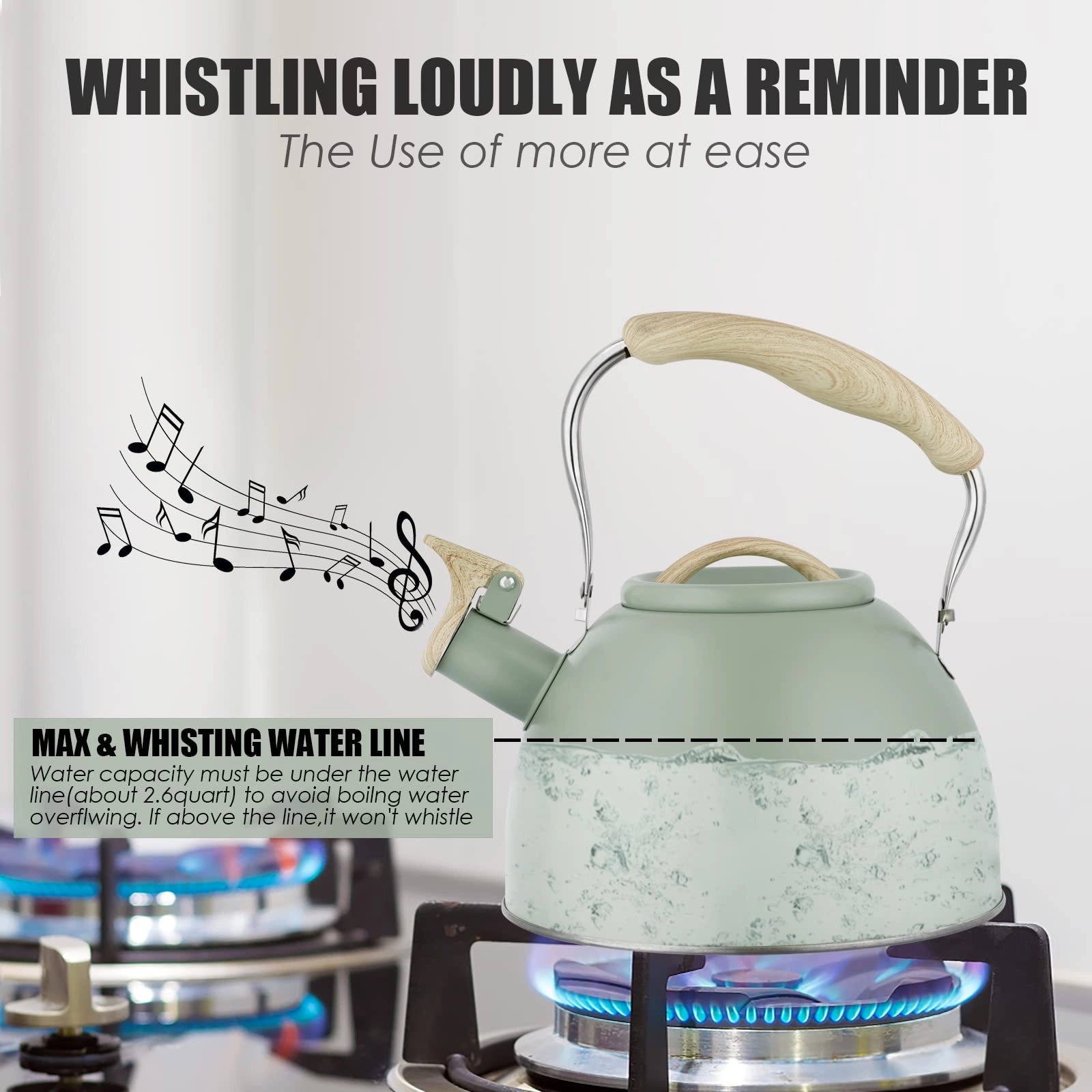 Whistling Kettle - 3 litres